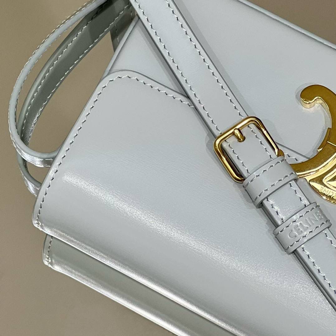 🔥大货实拍图 𝗖𝗘𝗟𝗜𝗡𝗘 ♥ 𝗧𝗥𝗜𝗢𝗠𝗣𝗛𝗘 𝗦𝗛𝗢𝗨𝗟𝗗𝗘𝗥 𝗕𝗔𝗚 型号：194143 尺寸：20*10*4cm