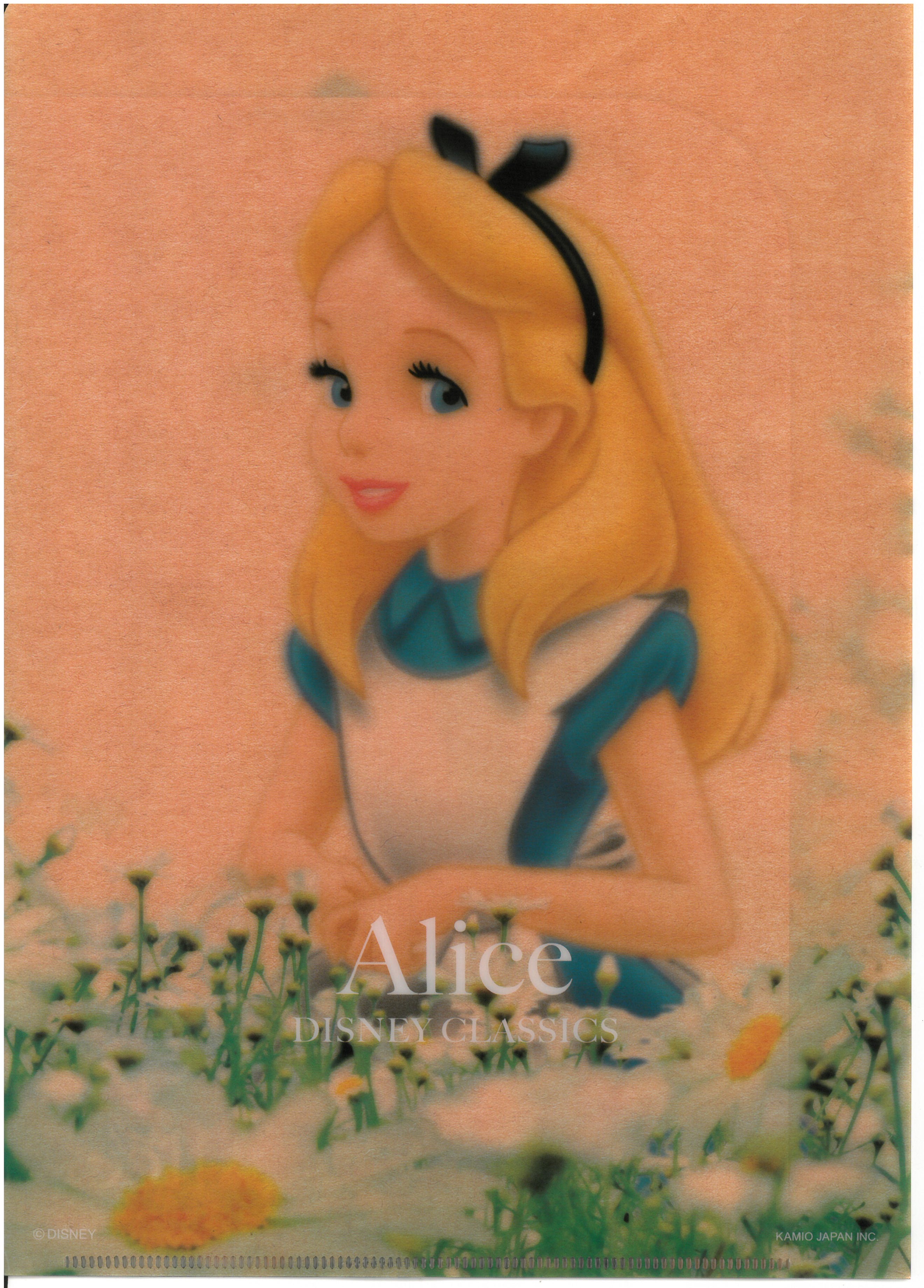 Alice 愛麗絲 A4雙開文件夾 (61354-2)