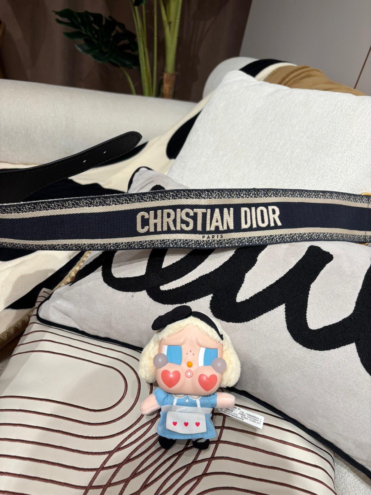 Dior Canvas Belt 100%Authentic, 95%New