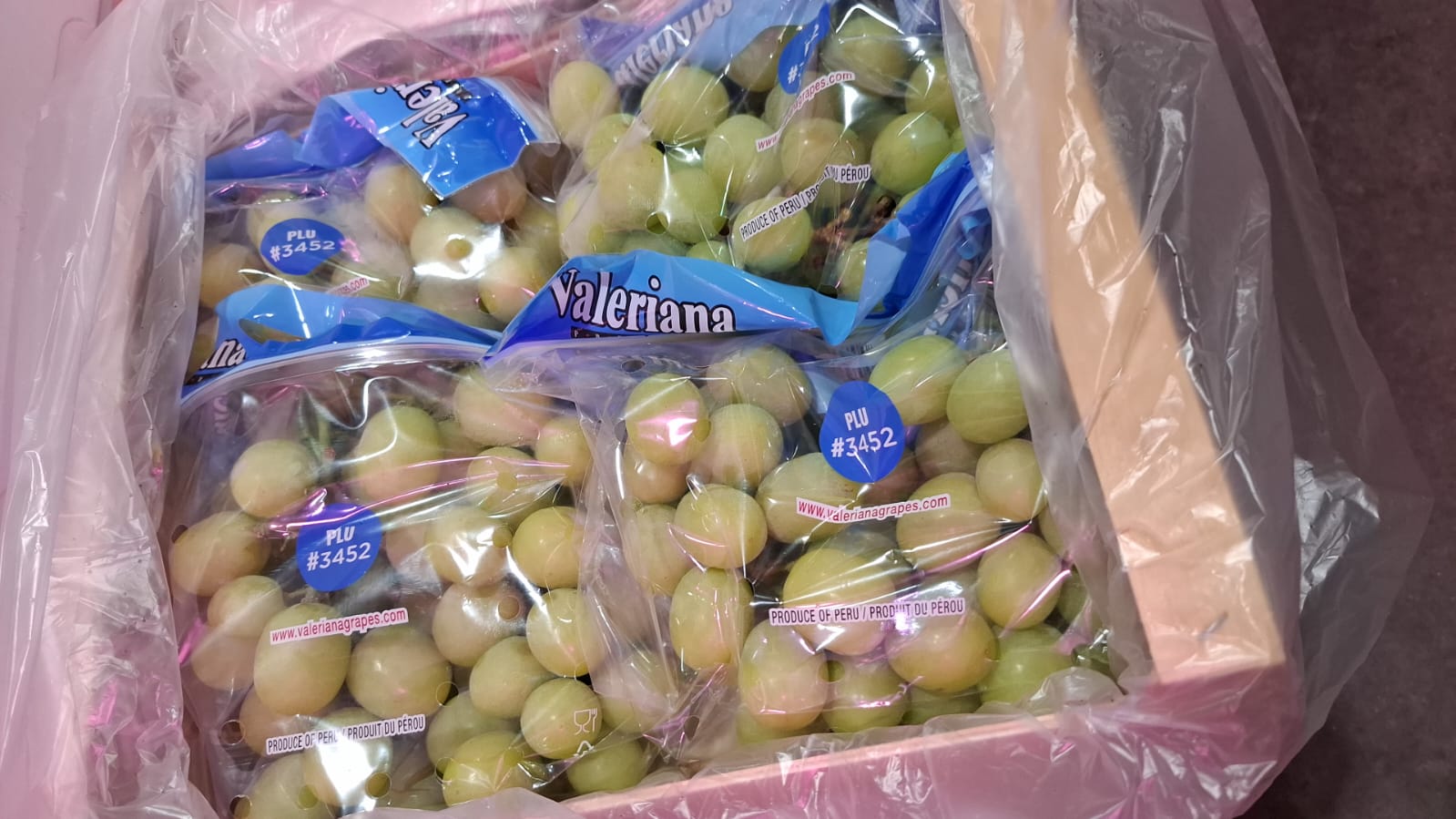 秘魯5J波子青提 每磅