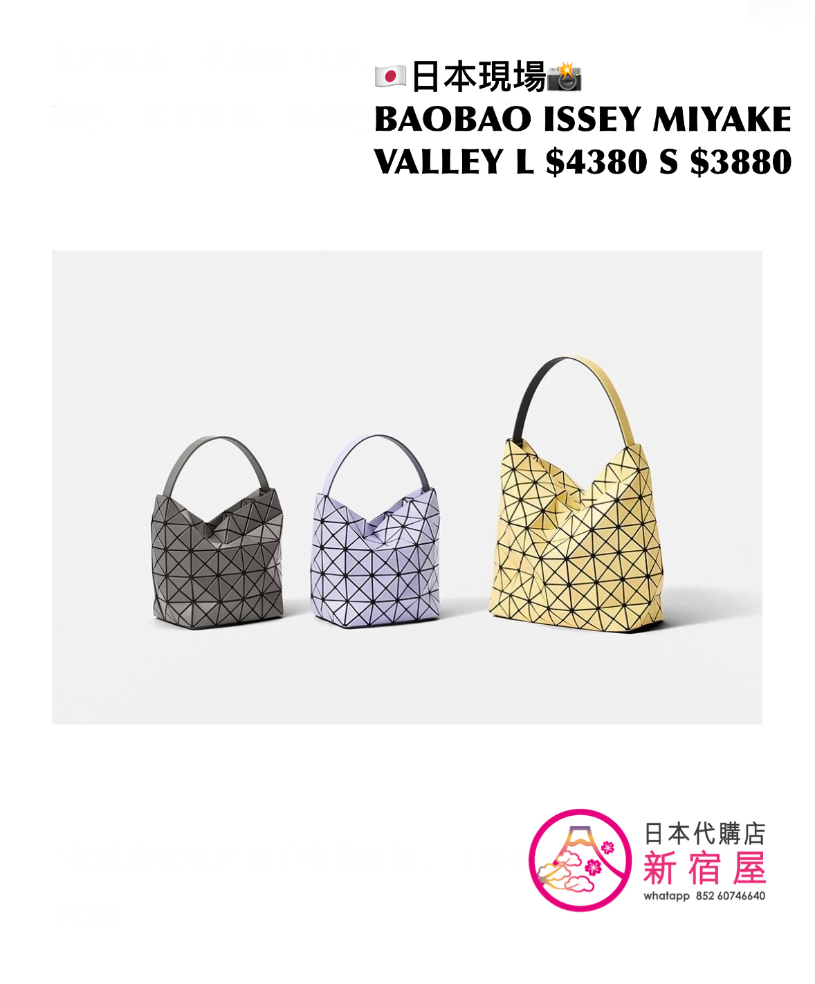 BAOBAO ISSEY MIYAKE VALLEY S/L