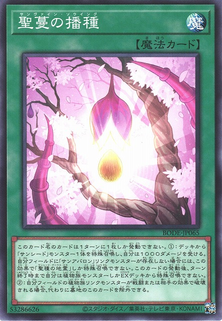 BODE-JP065 聖蔓的播種