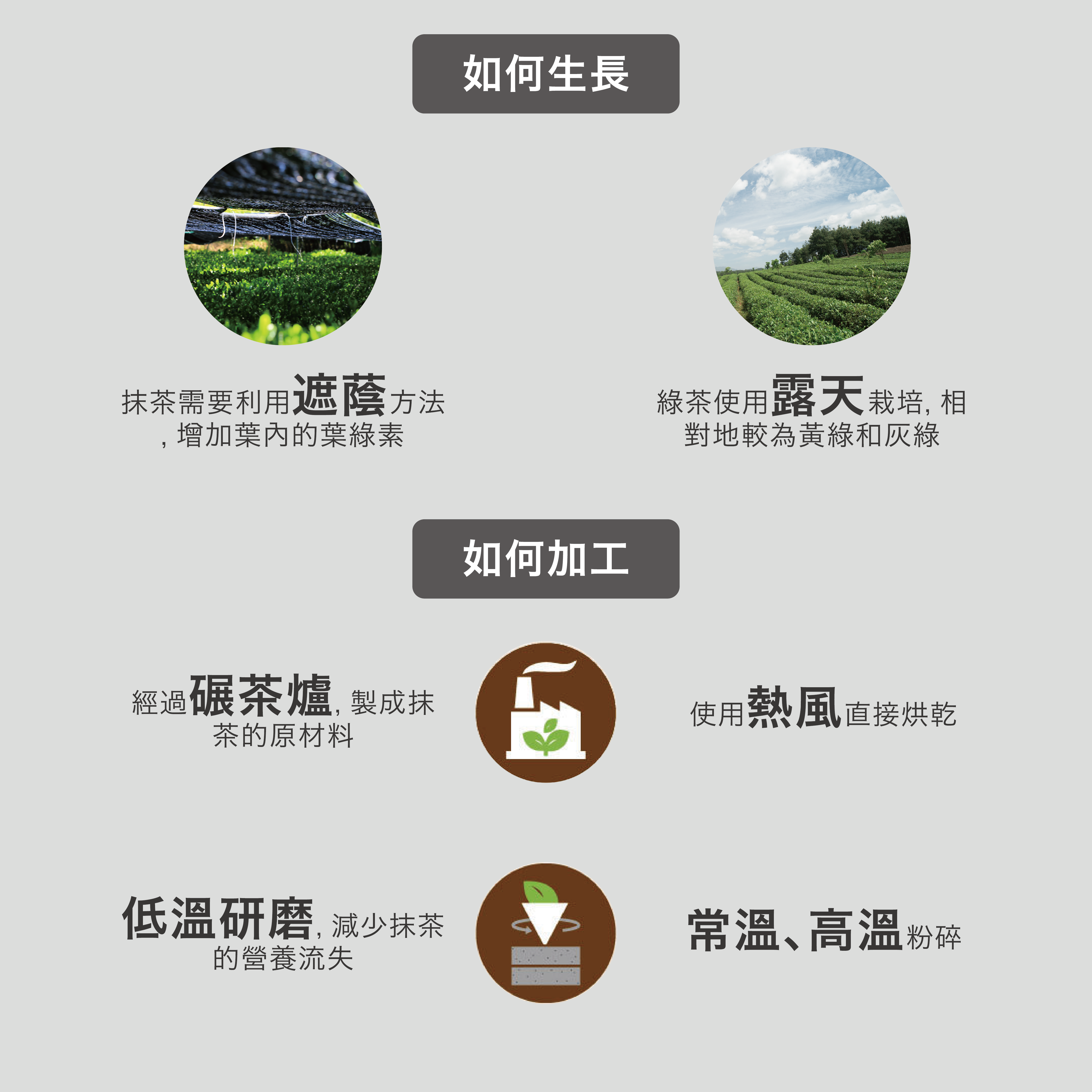Be My Tea 純抹茶 6號| 250克| 袋裝| 烘焙用