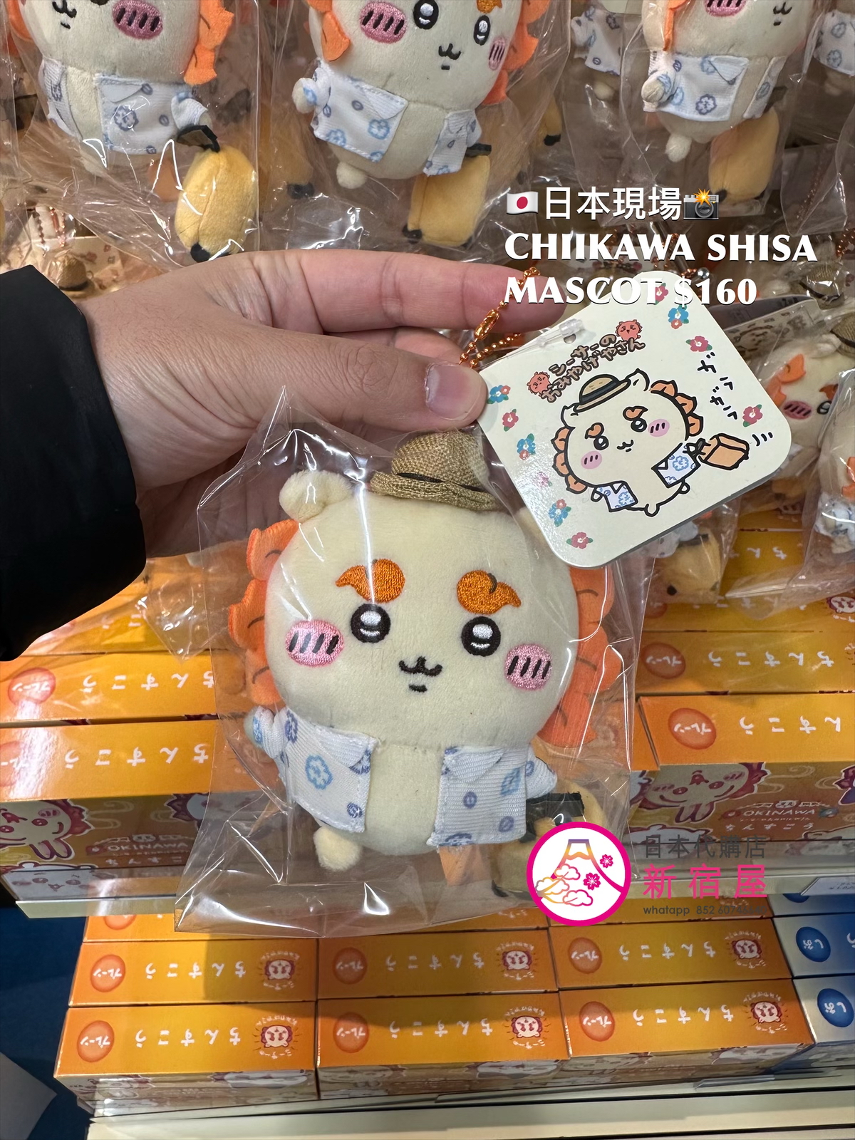 CHIIKAWA SHISA 風獅爺 MASCOT