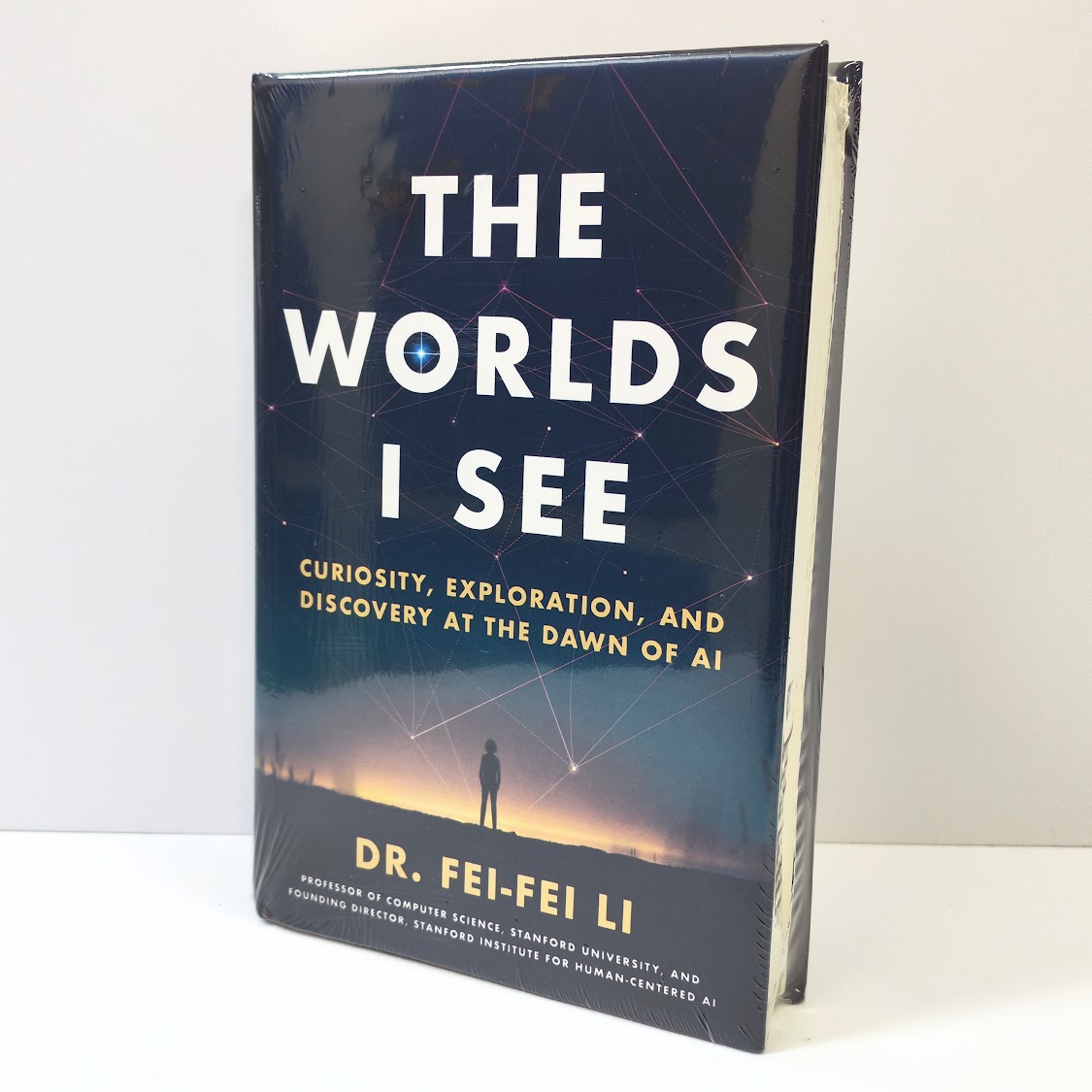 正版 The Worlds I See: Curiosity, Exploration, and Discovery at the Dawn of AI | A62