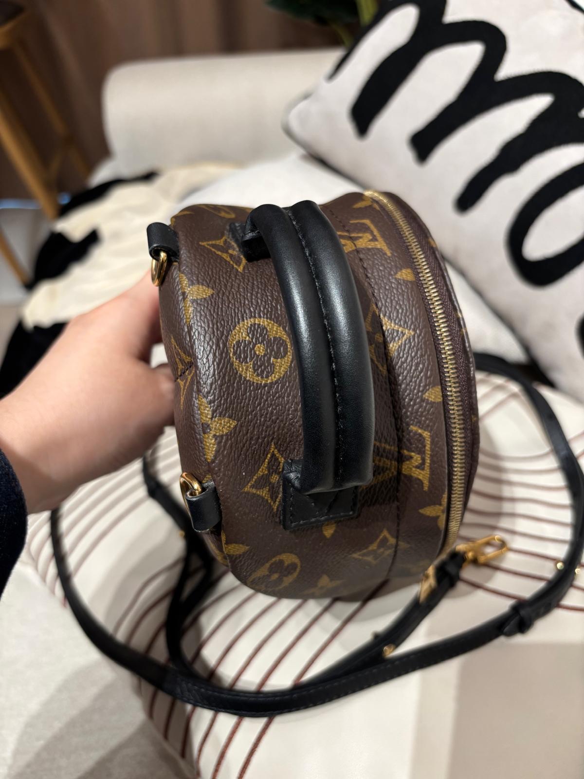 Lv mini Palm Springs backpack M44873 100%Authentic ,98%new ✅dust bag✅Strap