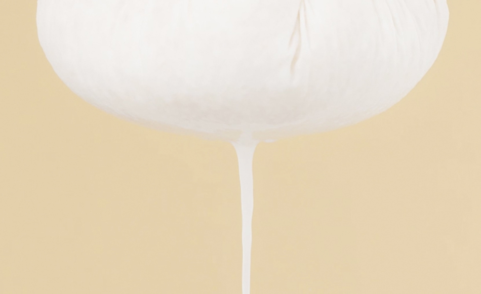 FULLY RICE CERAMIDE MOISTURE SUN CREAM 米糠水潤防曬乳 50ml [預計9月中出貨]