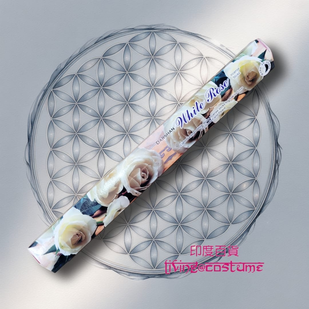 White Rose (白玫瑰)