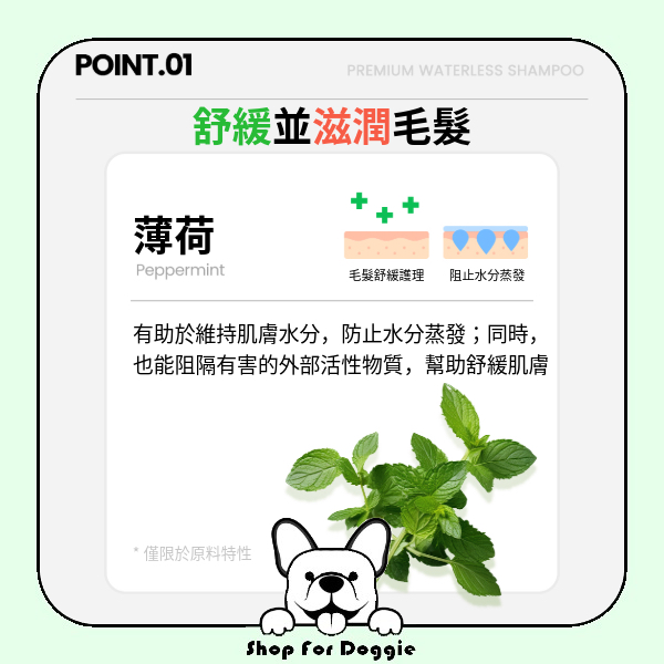 韓國 Hyponic 極致低敏無香寵物乾洗泡190ml