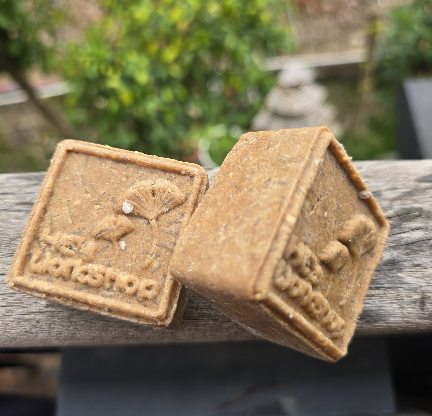 1117. 🌿 洗髮餅 - 中性(何首烏) 60g