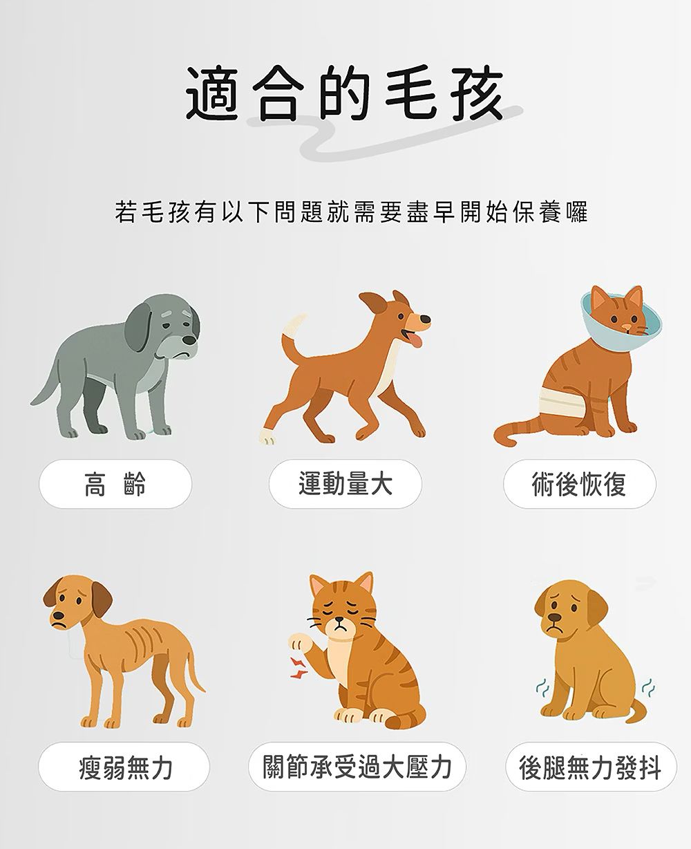 台灣動物醫院販售-肌肉大師保健膠囊