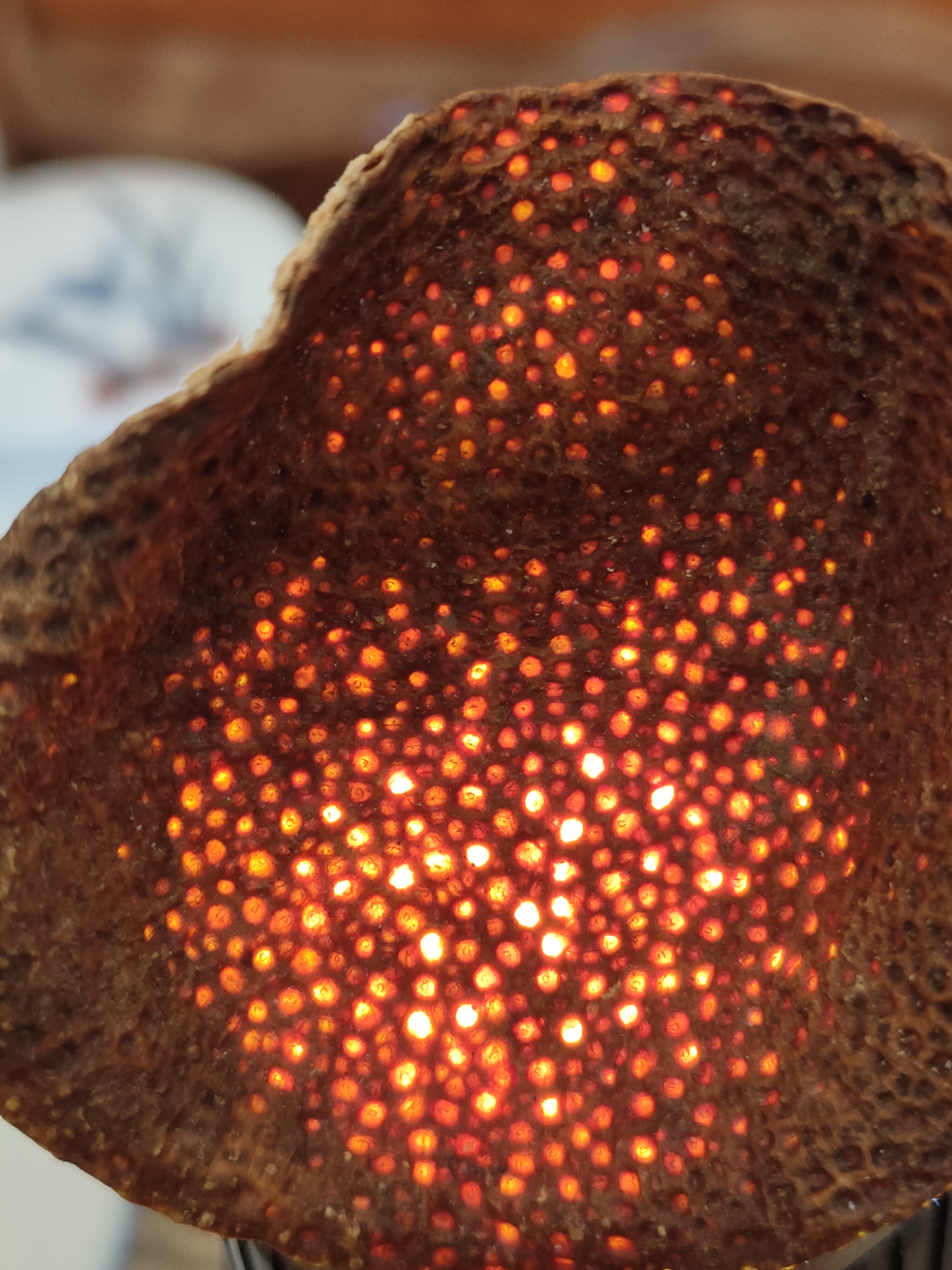 2015年 新會西甲大紅皮 - <有需要請聯絡我們 852-6329 6186>