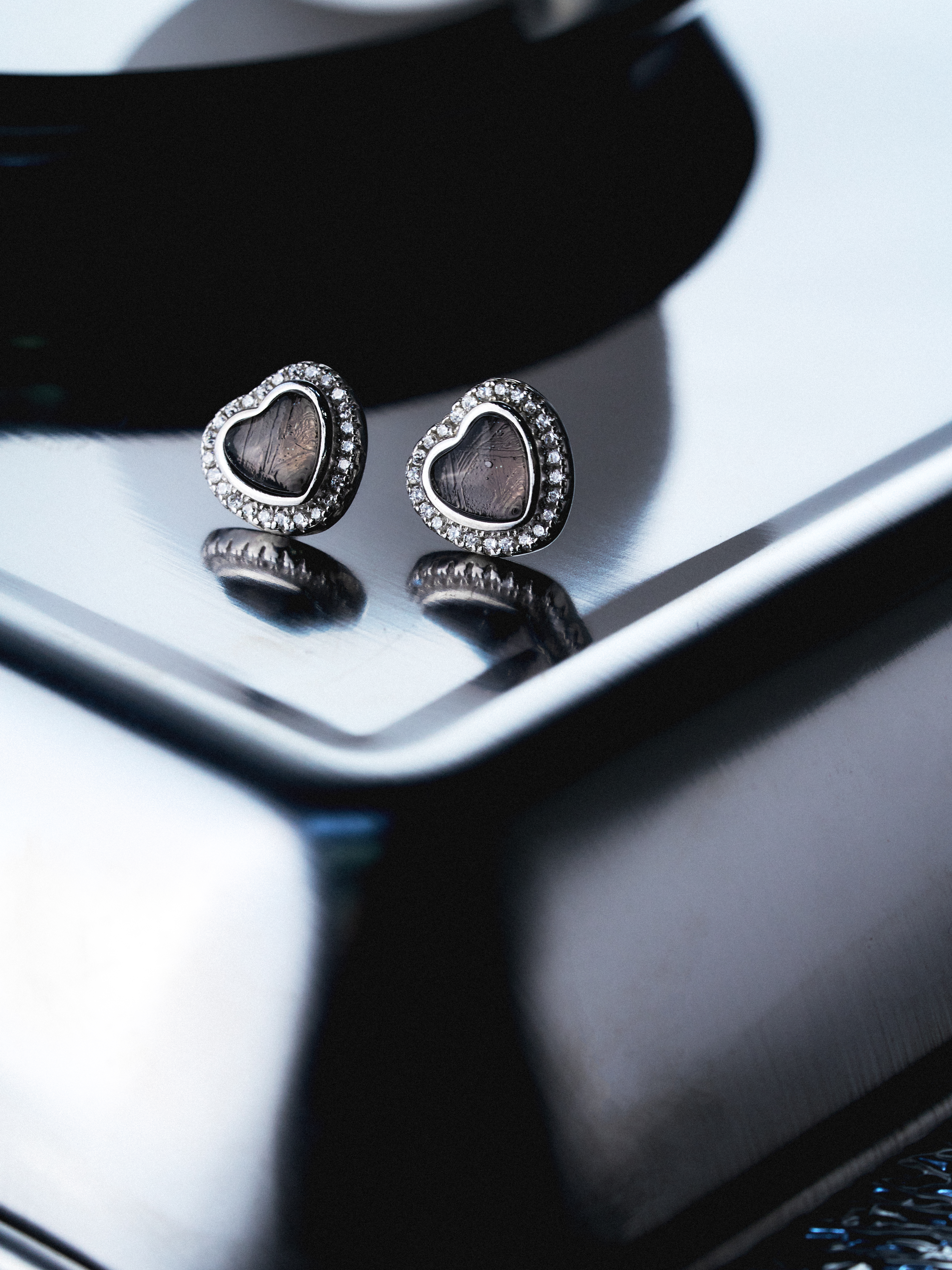 Aegis Earring