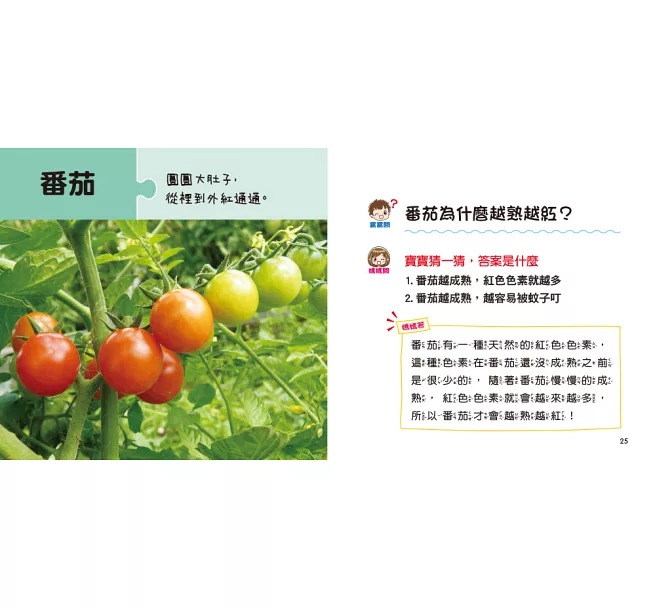 寶寶好奇問媽媽-營養的蔬菜水果 (現貨)