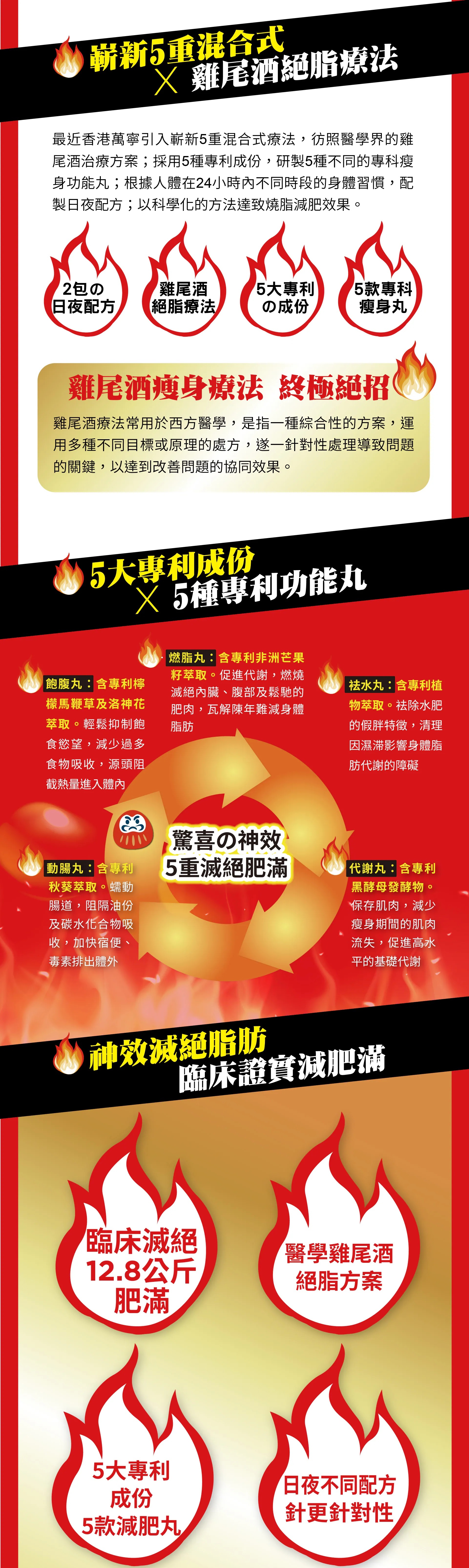 華人藥業 Fat Extinction 絕脂神日夜配方 28包