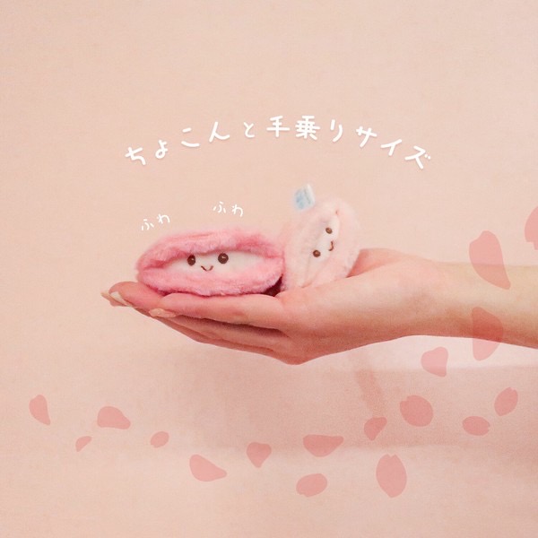 海洋生物-一對貝殼