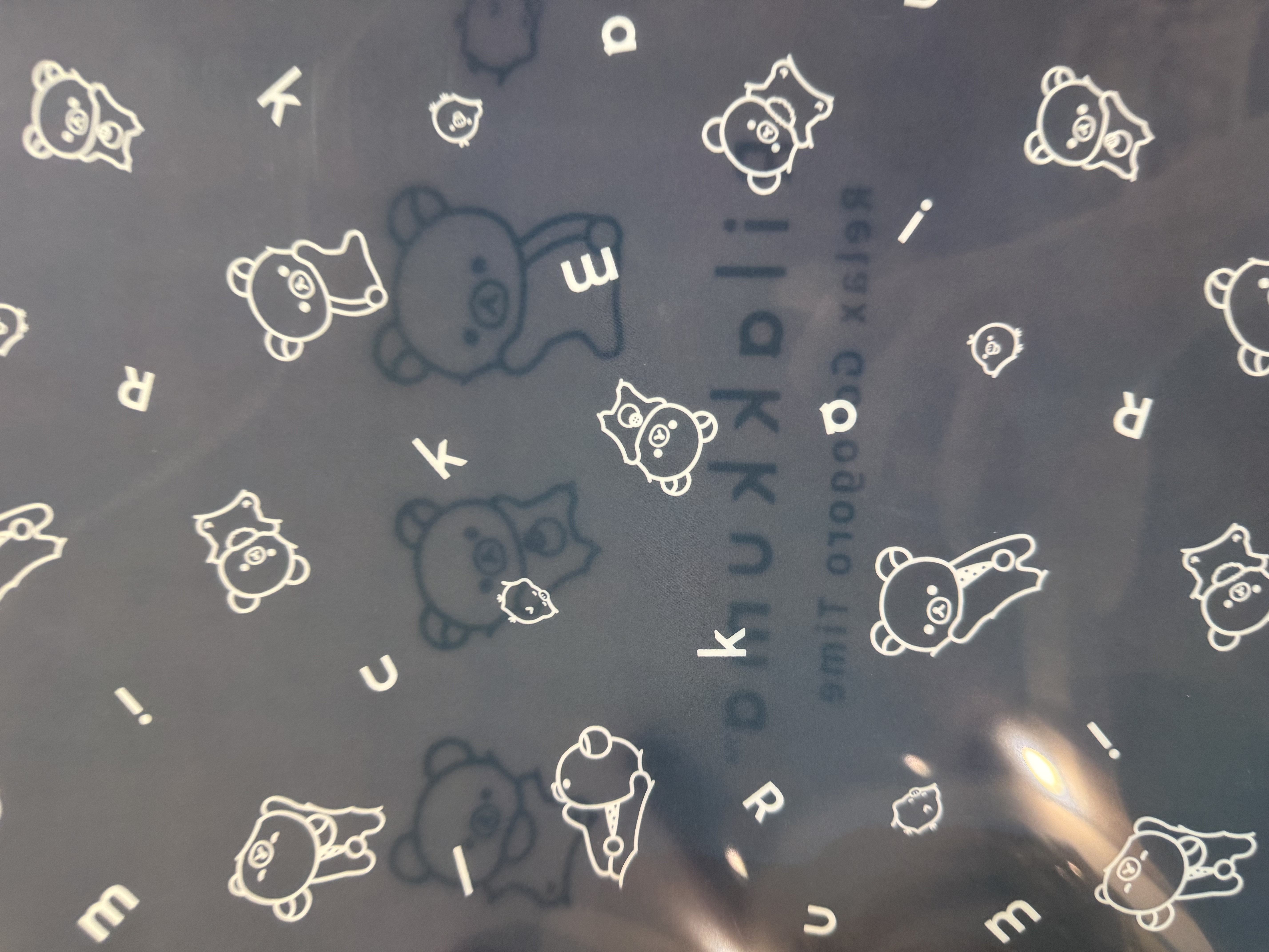 《現貨》全新Rilakkuma黑白造型A4 分格file