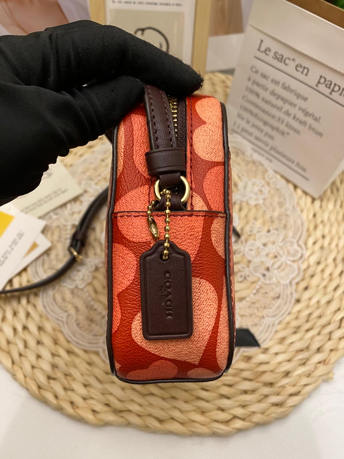 Coach Mini Camera Bag With Heart Print