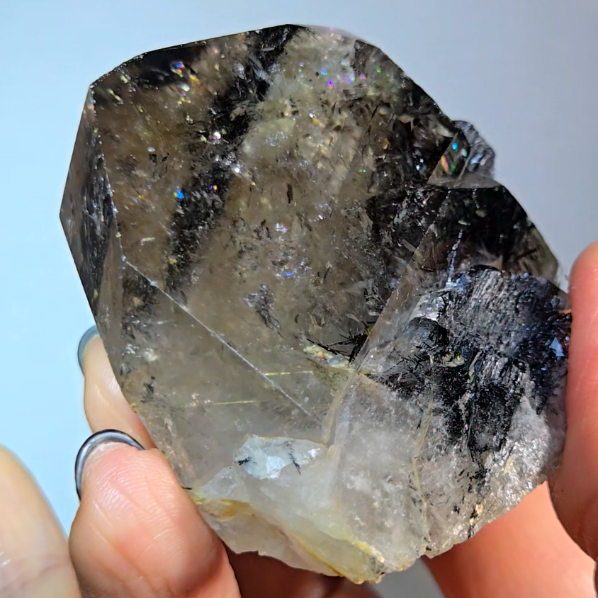 Black tourmaline inclusion smoky quartz with rainbows - RT1457