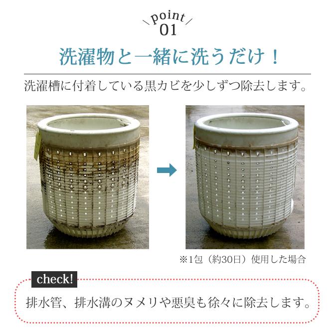 【現貨】🔥🔥【日本製《SEIEI》天然帆立貝殼大眼雞洗衣槽除菌去臭粉】50回