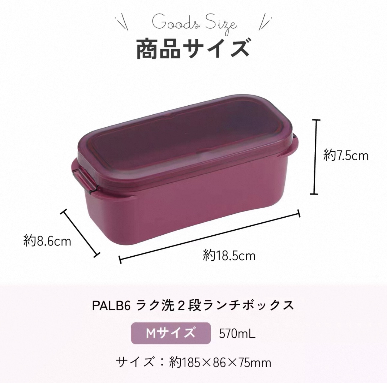 日本Skater 簡約雙層便當盒