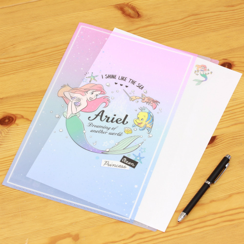 ARIEL 5分頁文件夾 (S2123649)
