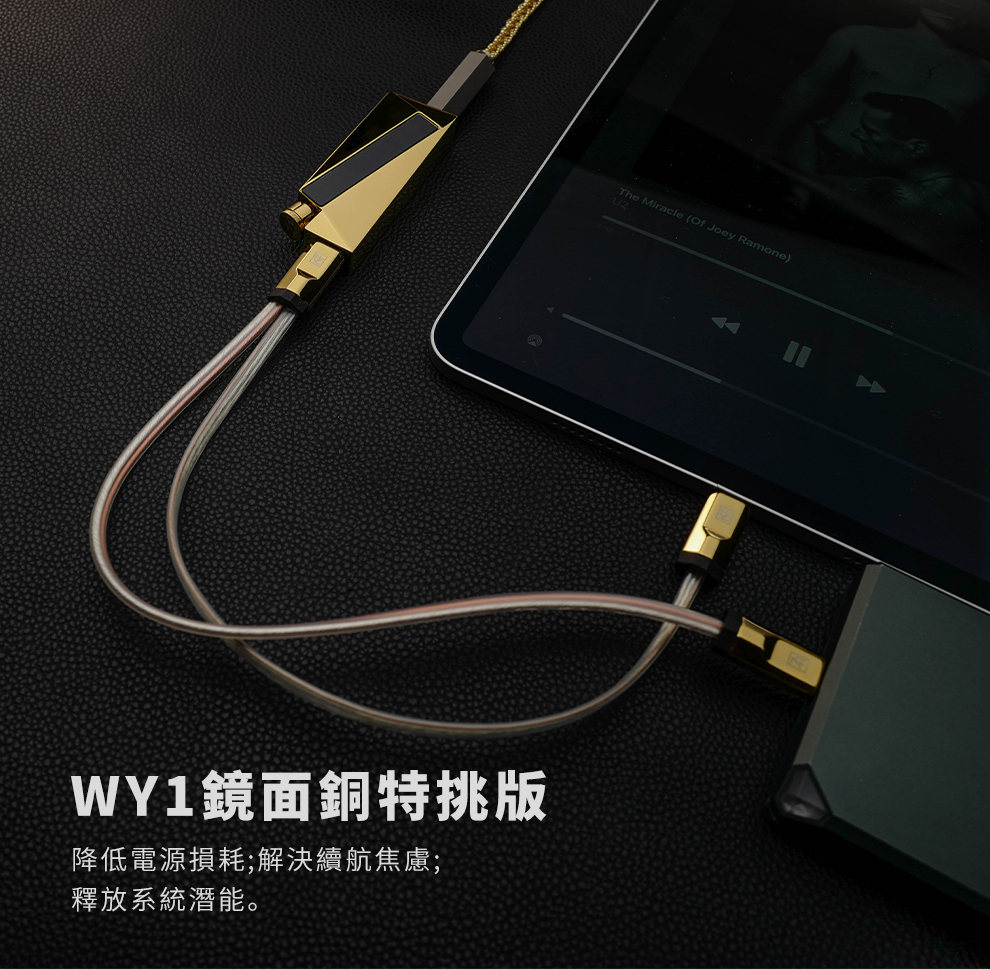 LUXURY & PRECISION萌音小金磚 ~ W4 ACG鏡面銅版 (限量499台) + WY1鏡面銅特挑版