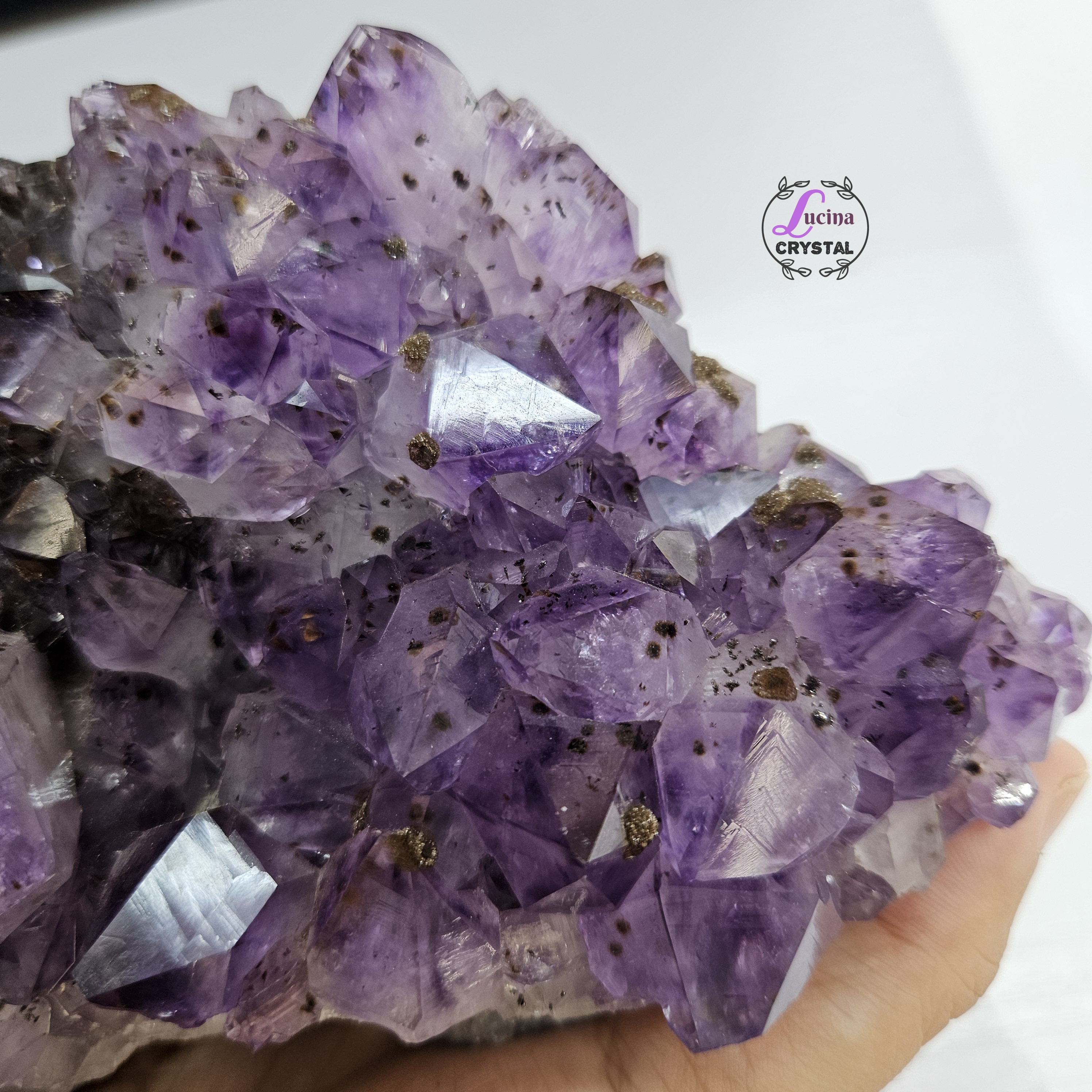 (Co#LC8556)紫鈦骨幹花水晶簇連木座/Elestial Amethyst Rutilated Flower Quartz Cluster w/wooden stand 