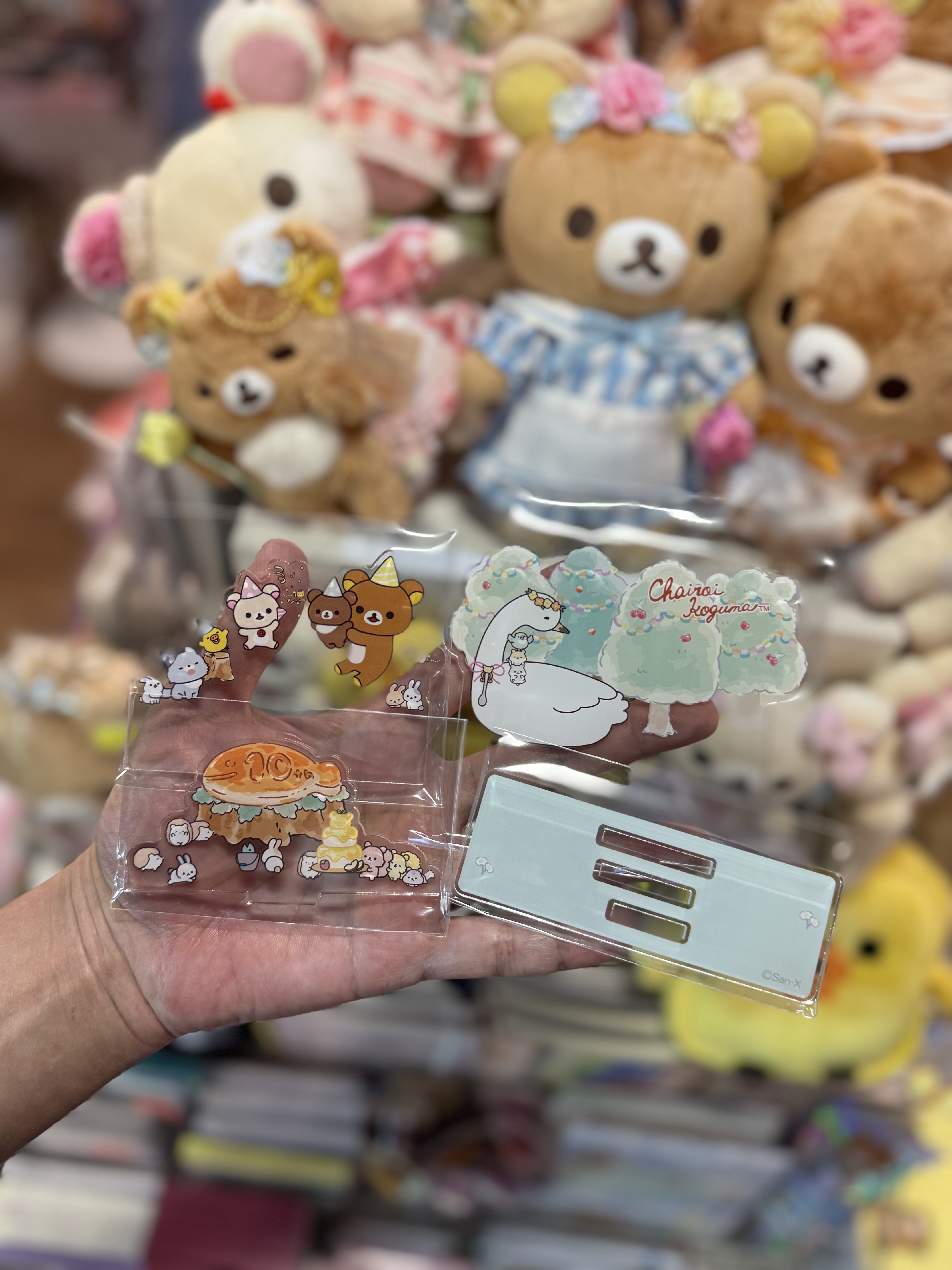 《現貨》全新日本專店限定 小熊10週年紀念立牌