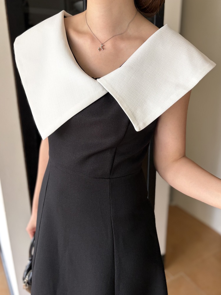 Celine Contrast Collar Dress