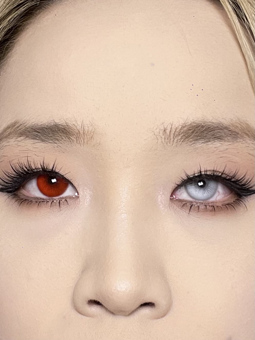 Serltyca 日拋6片裝 調色盤系列