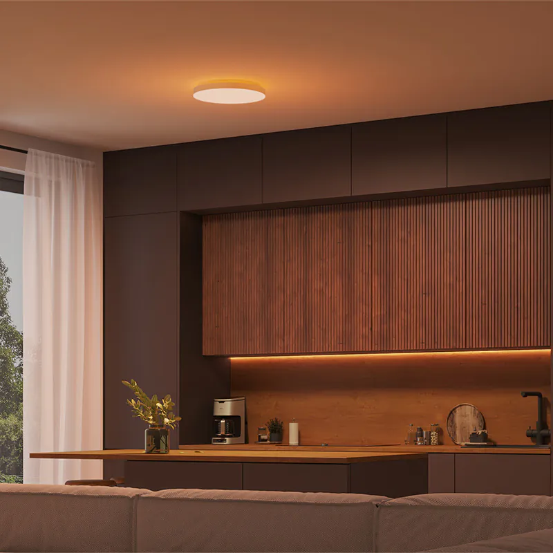 [飛利浦直送 原裝行貨2年保養] 飛利浦 Hue Datura S 圓形吸頂面板燈 – 小尺寸智能 LED 燈 可調光可調色溫 48W