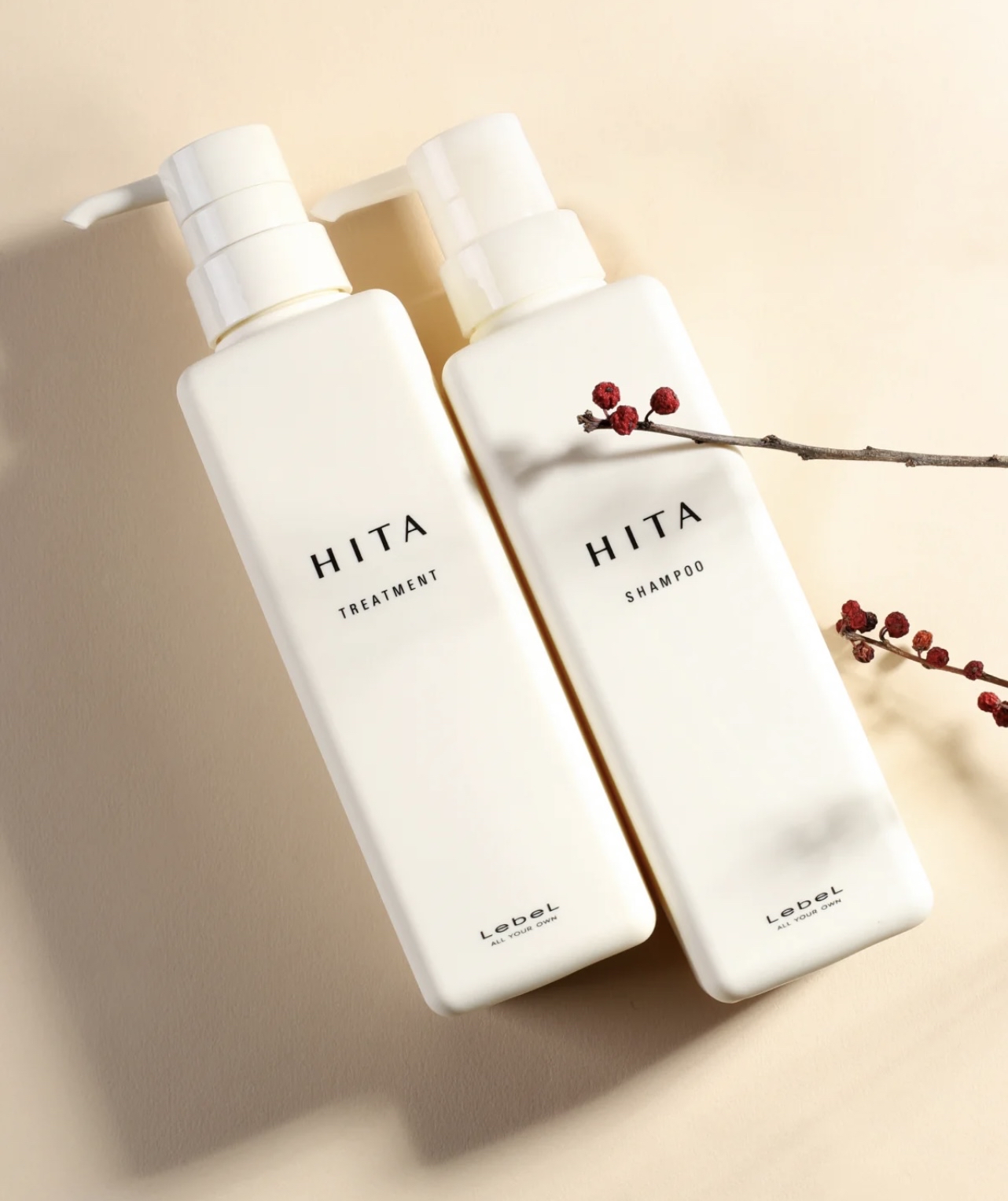 Lebel HITA Shampoo+Treatment 抗毛燥順直洗護套裝 400ml+400ml 