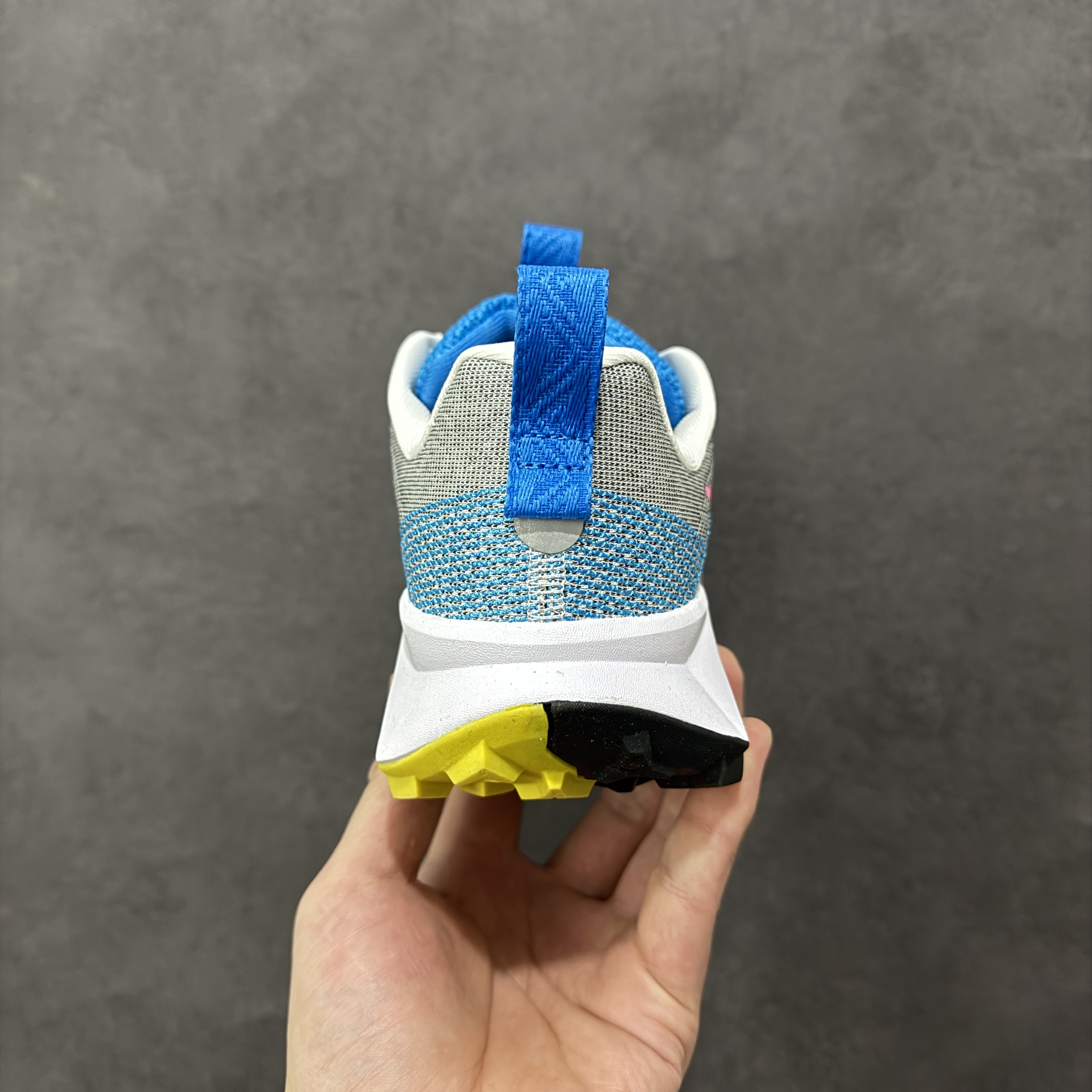 Nike ReactX Wildhorse 10 FV2338-100