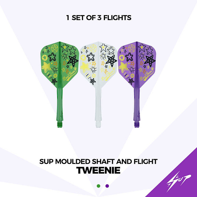 九牌 Sup Moulded Shaft and Flight No6 - player BoeySham