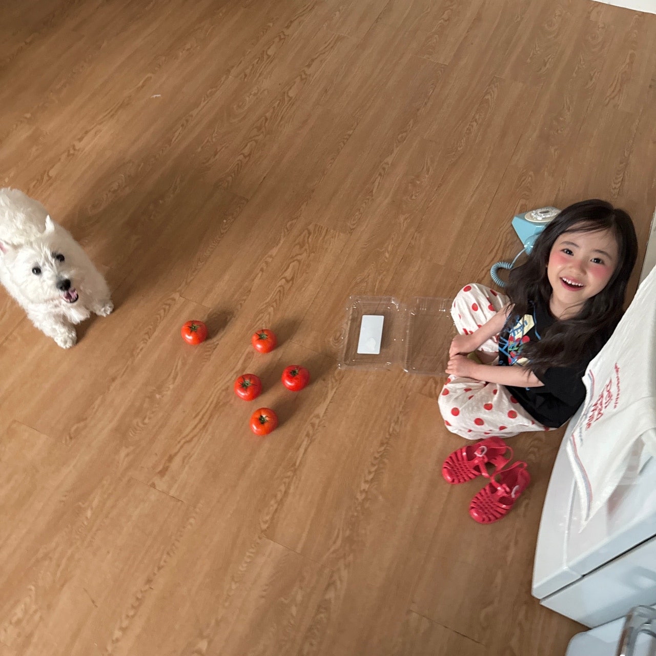 🇰🇷Ninibello 褲