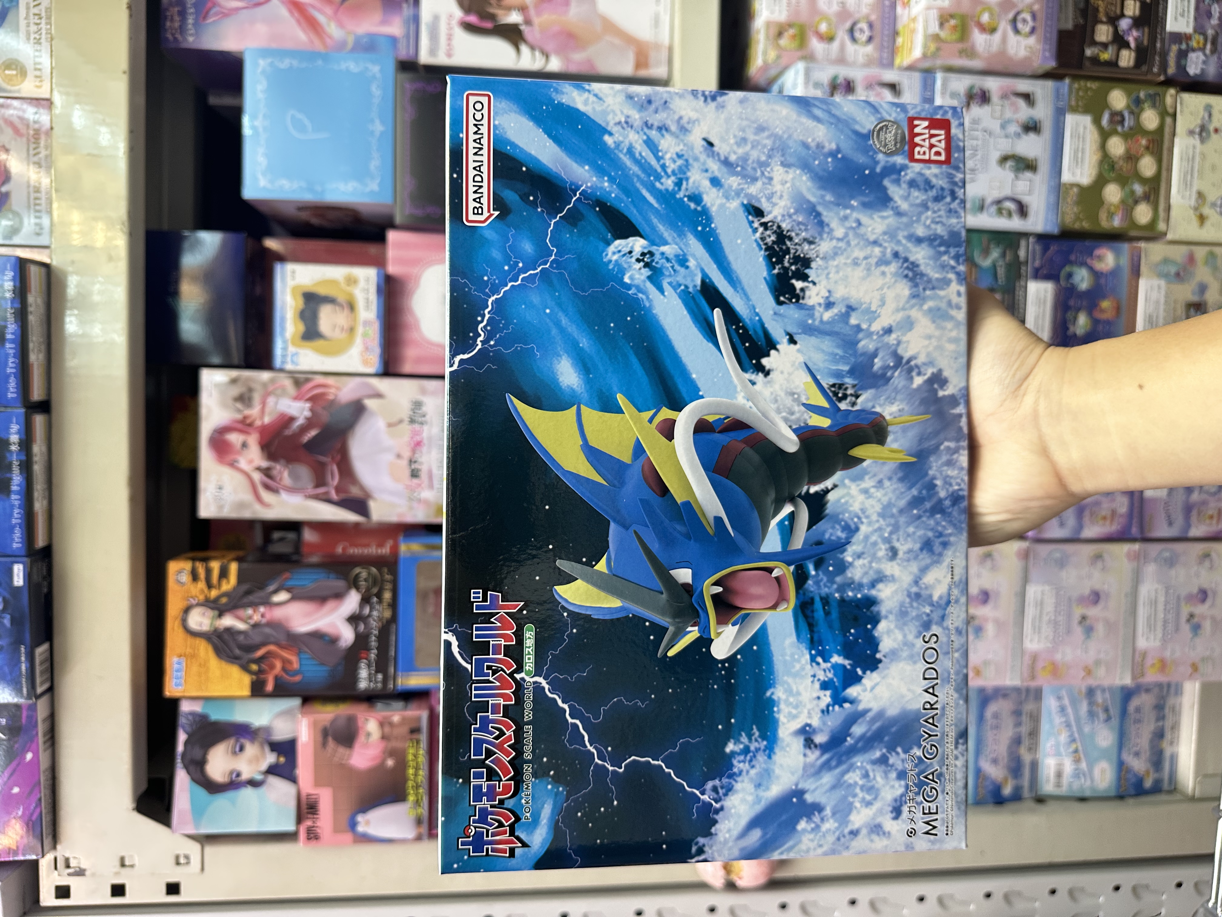 現貨 Bandai 食玩 Pokemon Scale World 卡洛斯地區 Mega 鯉魚龍