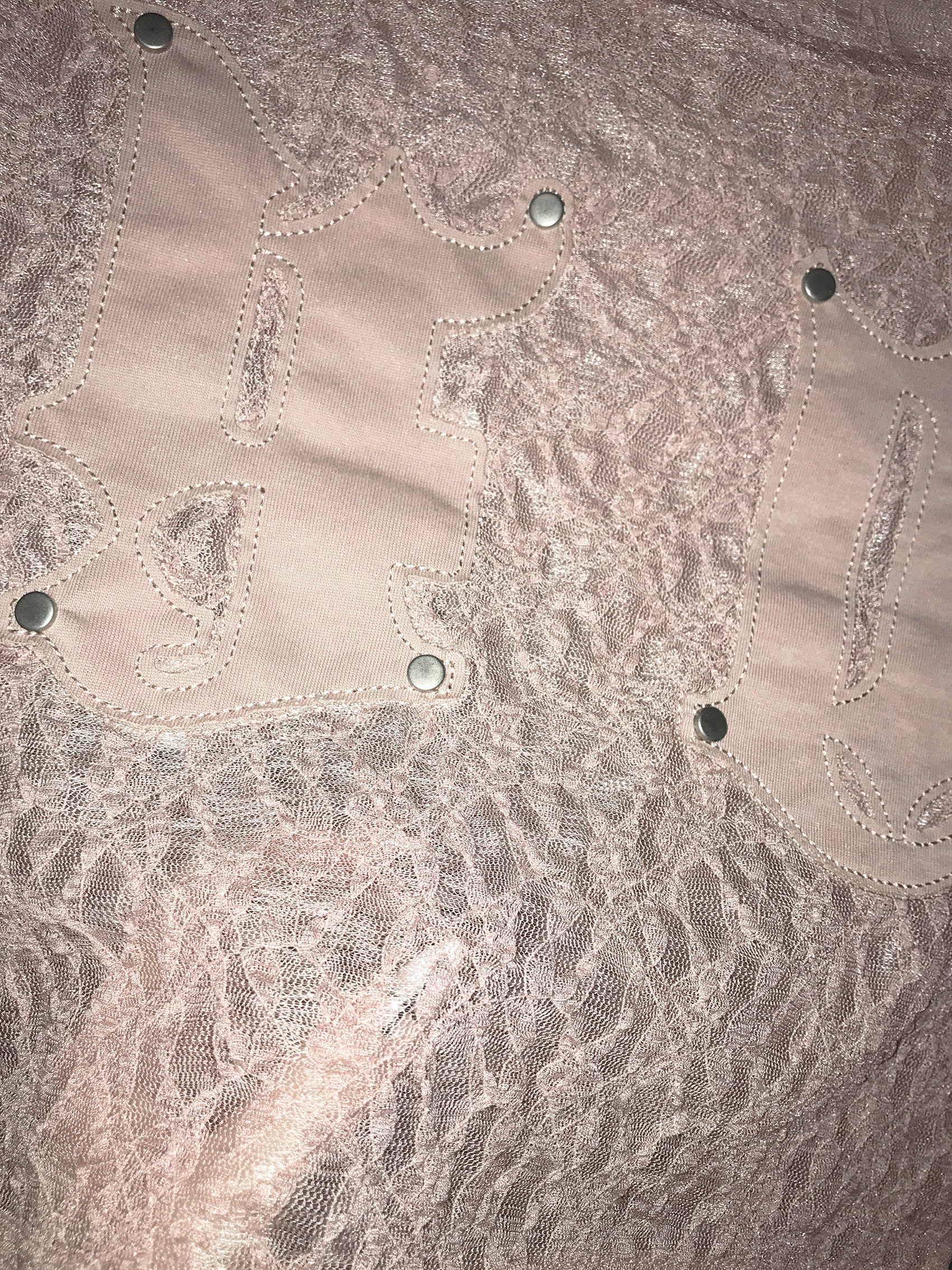 Sheer Lace Round Neck Crop Top