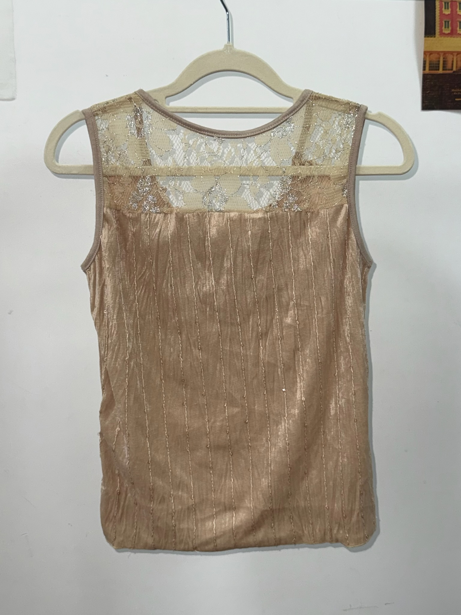 Antique Rose Lace Neckline Tank Top