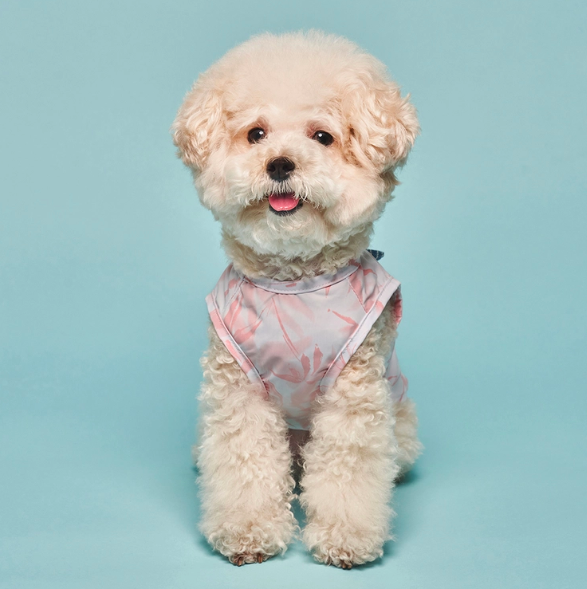 SuperPet🇰🇷降温口袋冰袋T恤 