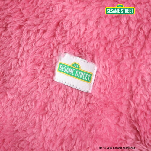 🆕【⭐訂購⭐】🇯🇵日本直送 🌀 #SesameStreet 可愛連帽造型 蓬鬆毛絨針織 連身衣 ［3款選］🌀[ELJA-0194][261121]