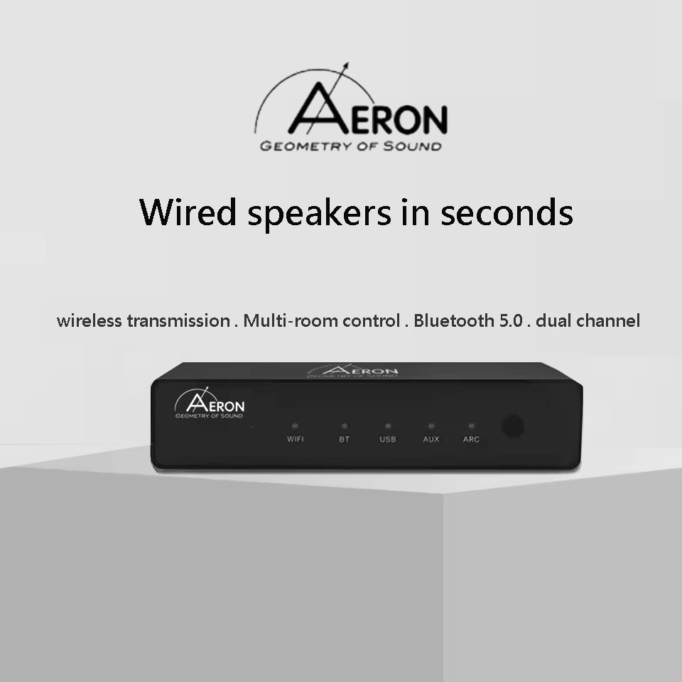 Aeron NP-380 Audio Network Streamer