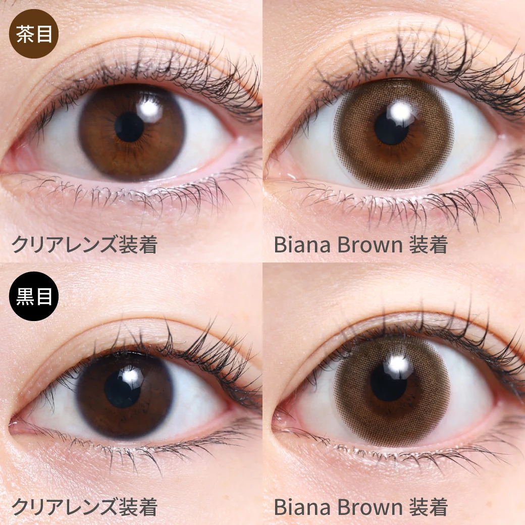 TeAmo - Cheria Biana Brown (1day/10P)