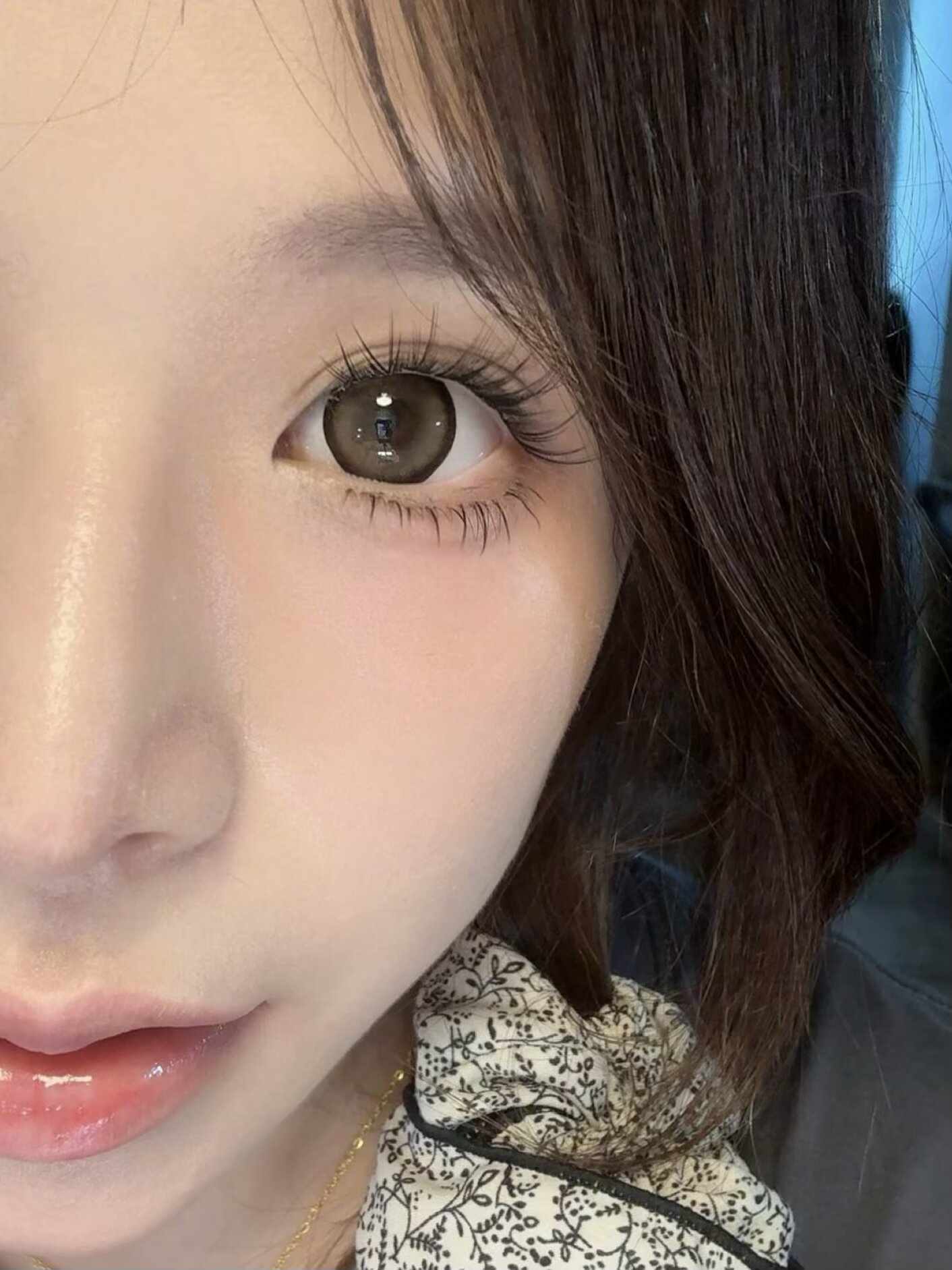 Macycon 月拋 芝士小狗/可愛比熊/萌萌貴賓