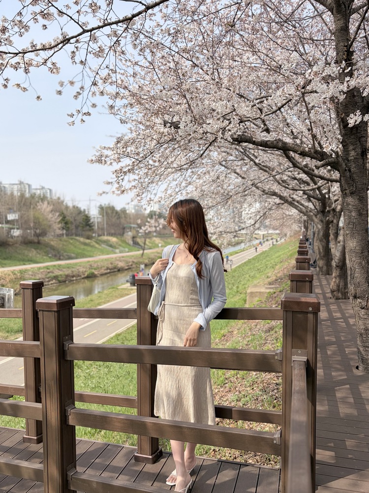 Airy Pastel Cropped Cardigan (Blue)