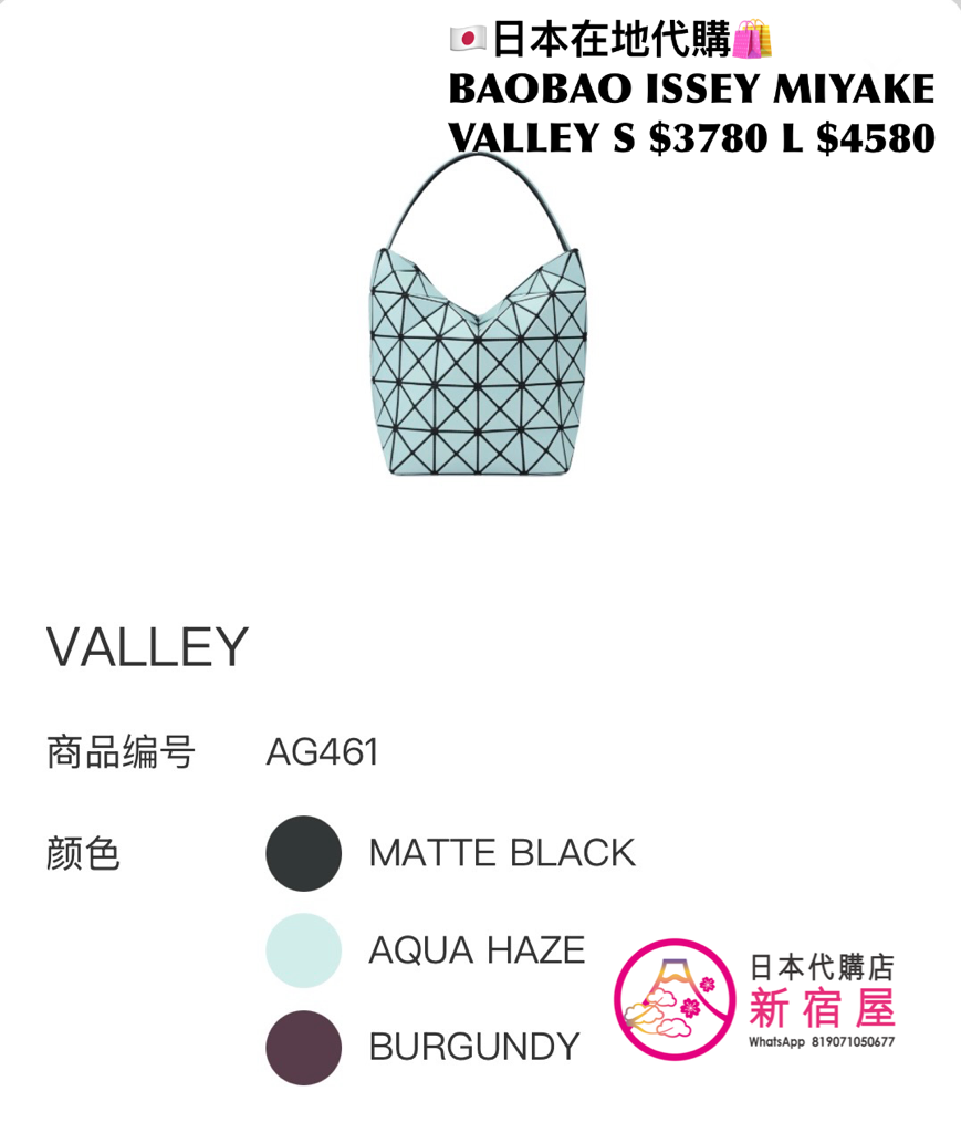BAOBAO ISSEY MIYAKE VALLEY S/L