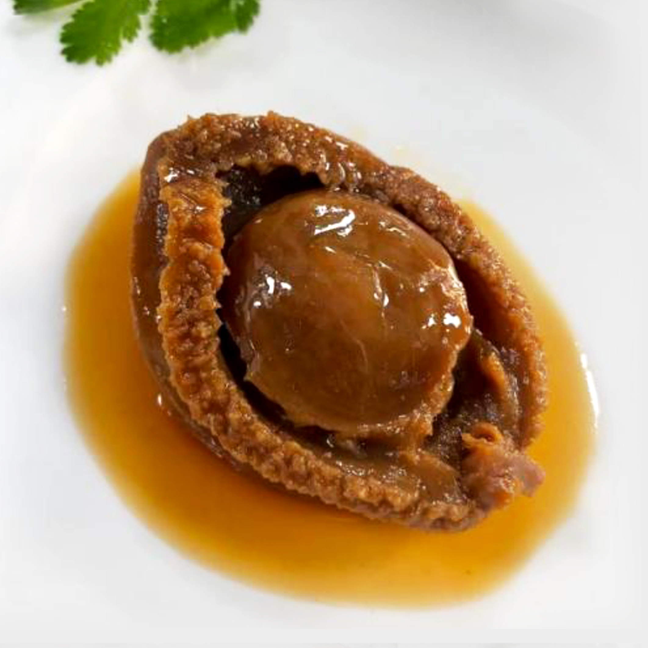 南非吉品鲍12頭