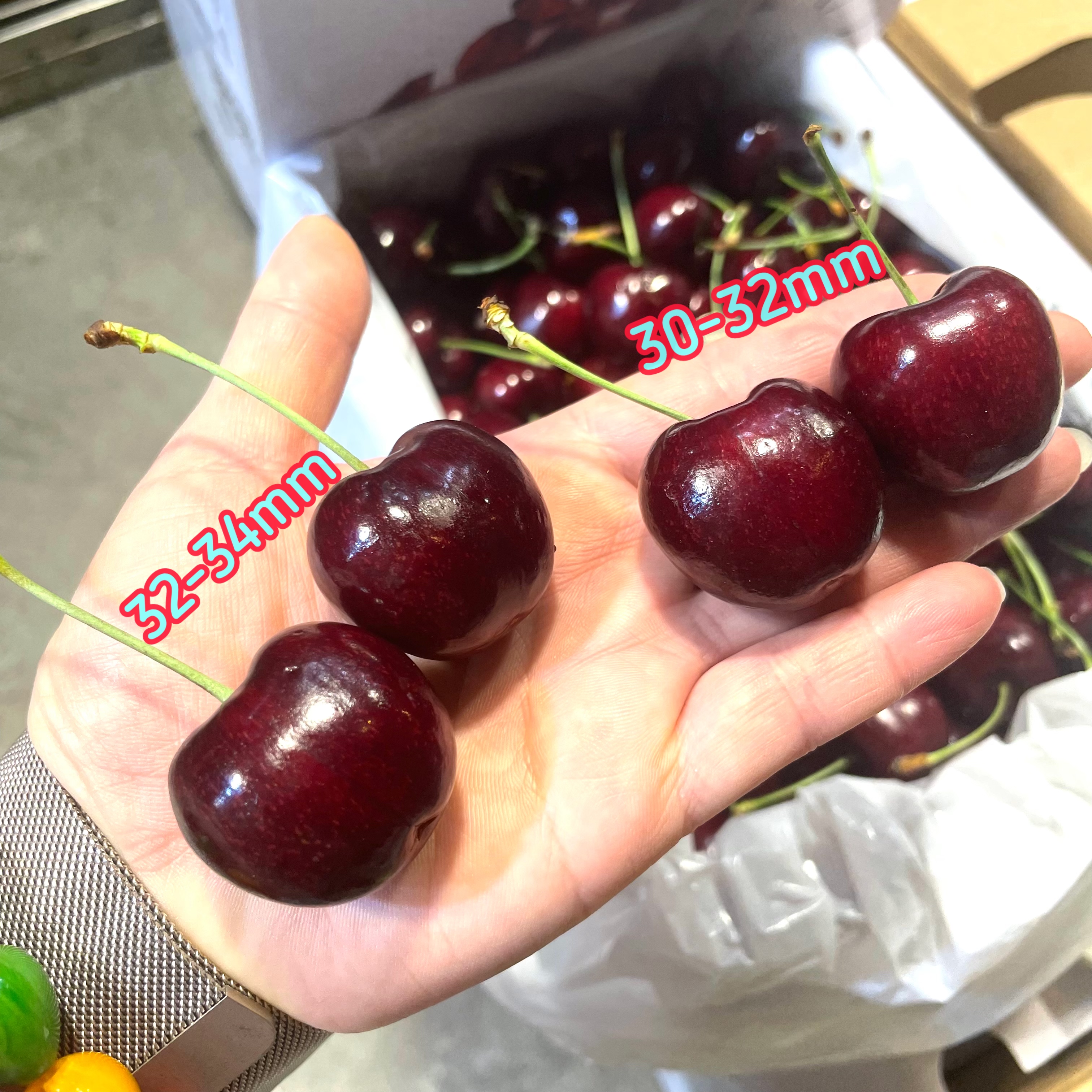 🇦🇺 TR紅鑽澳洲塔斯曼尼亞💎車厘子🍒