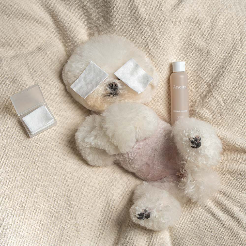 韓國 Anoint｜眼下淚痕清潔液 Undereye Cleanser 120ml 貓犬適用
