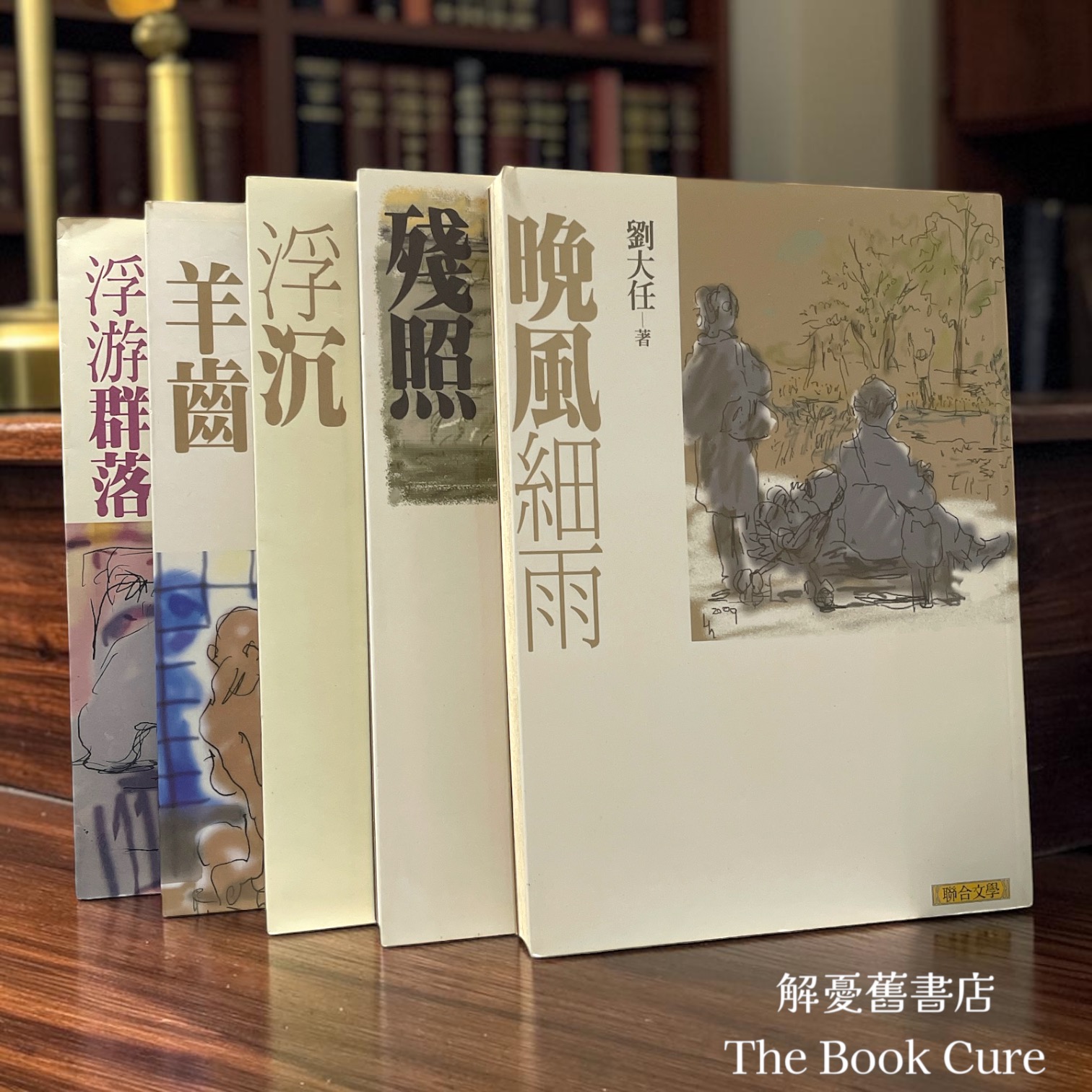 劉大任作品五集：晚風細雨、殘照、浮沉、羊齒、浮游群落 / 劉大任 著
